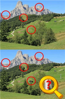 找茬高高手安卓直装版