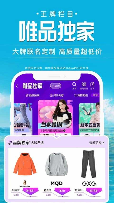 唯品会原版图4