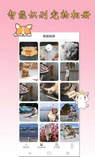 猫语狗语翻译器手机免费版图2
