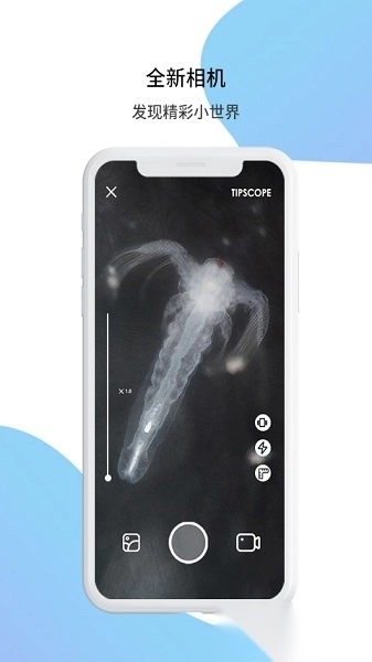 tipscope 正版图2