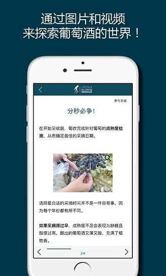 掌上波尔多无广告版图2