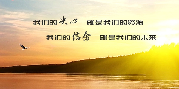 沙钢移动门户本最新版图3