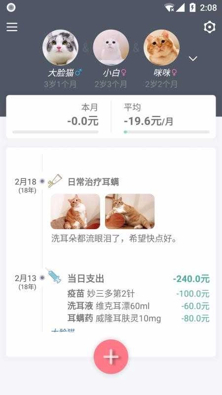 猫咪成长记原版图4