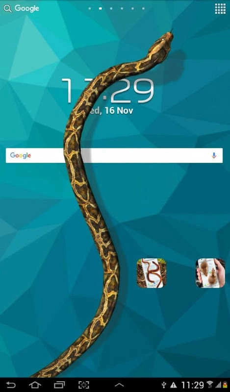 蛇屏幕恶作剧(Snake On Screen Hissing Joke)无广告版图2