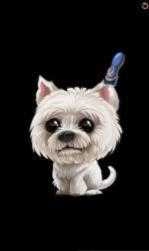 宠物理发师(PetBarber)手机最新版图3