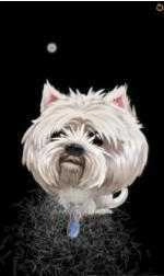 宠物理发师(PetBarber)手机最新版图1