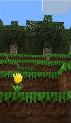 迷你工艺探索图2