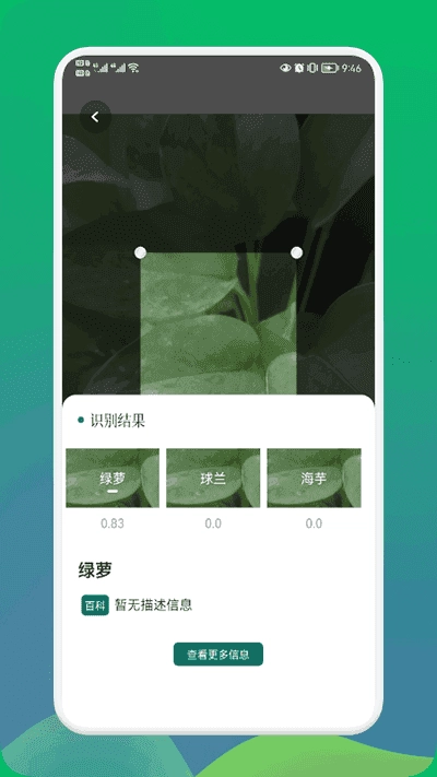 小园丁官方正版图2