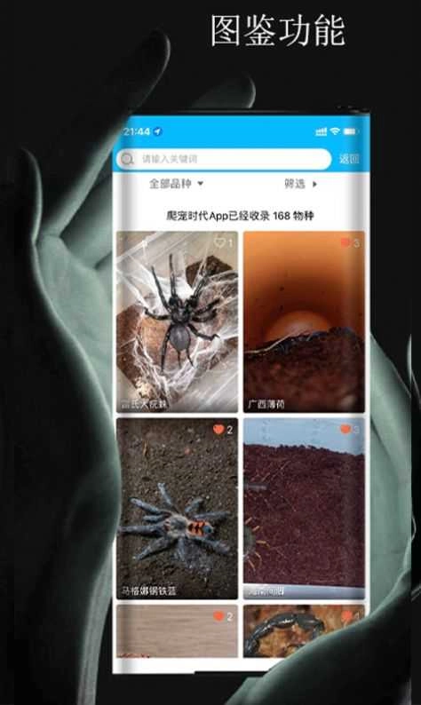 爬宠时代安卓官方版图3