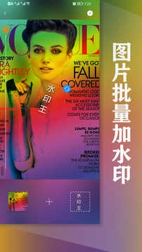 水印王最新免费版