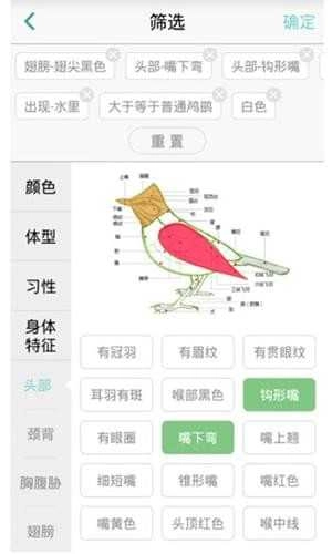 懂鸟免费版图3