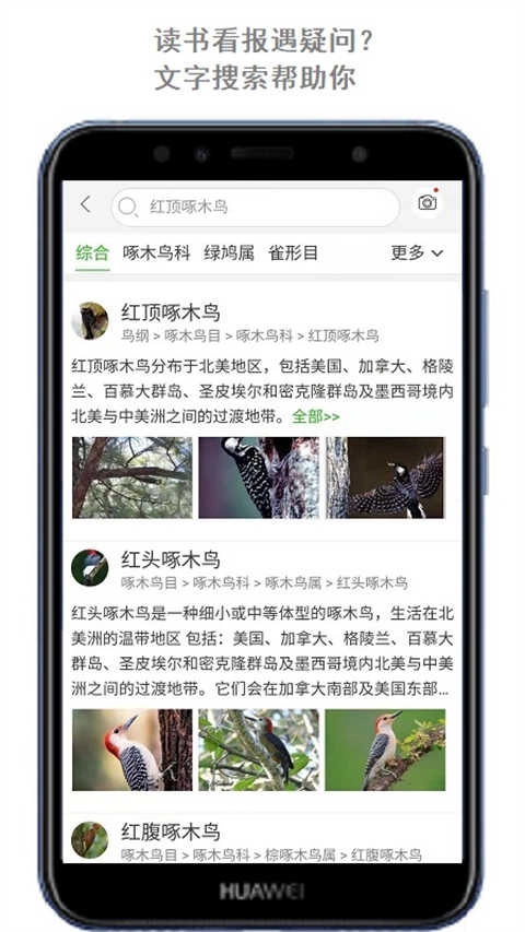 万物识别手机正版图3