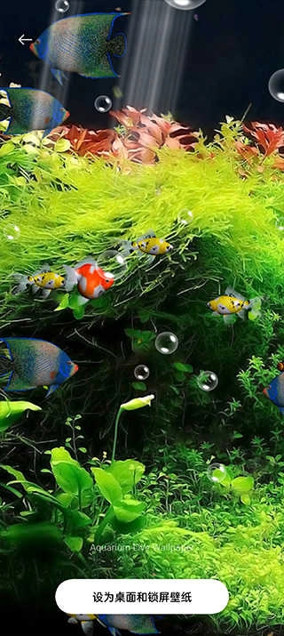 水族馆动态壁纸桌面屏保手机最新版图3