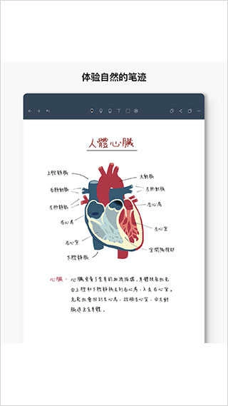 Noteshelf正版图3
