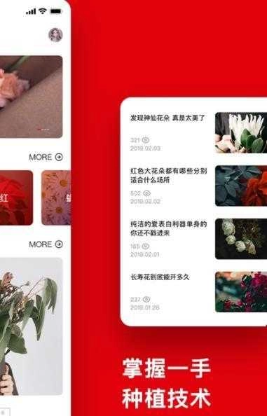 喜乐达免费原版图3
