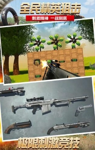 全民精英狙击手机版图1