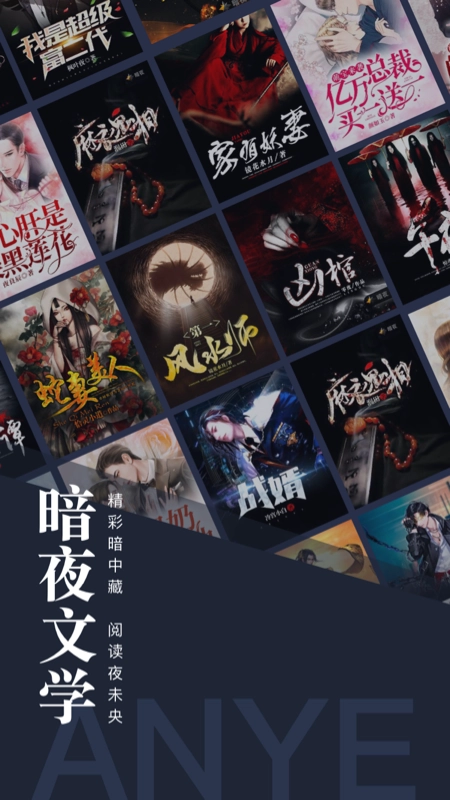 暗夜文学通用版