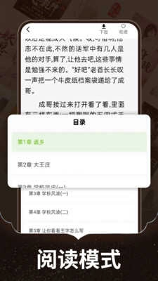 番番畅听小说手机最新版截图3