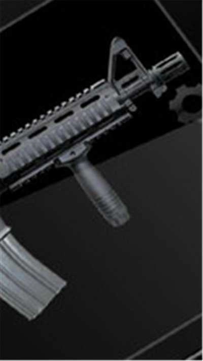 真实枪械模拟器免费版图2