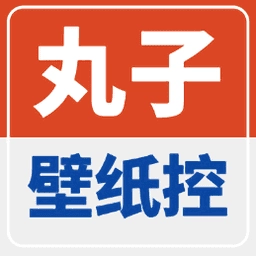 丸子壁纸控手机正版