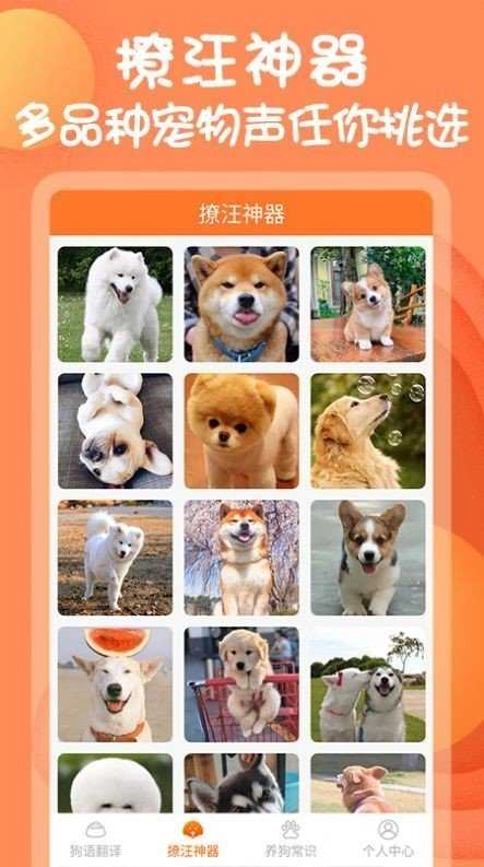 狗与翻译器手机正版图3
