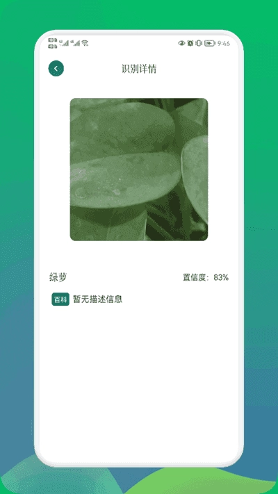 小园丁官方正版图3