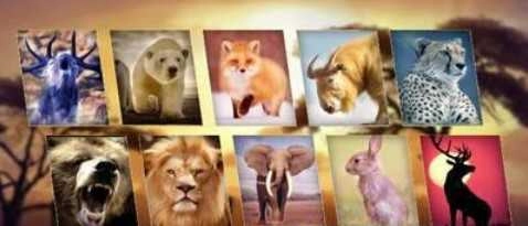 动物猎人模拟器无广告版图2