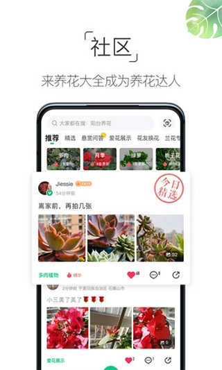 养花大全免费原版图4