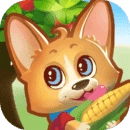 农村快乐小院游戏无广告版