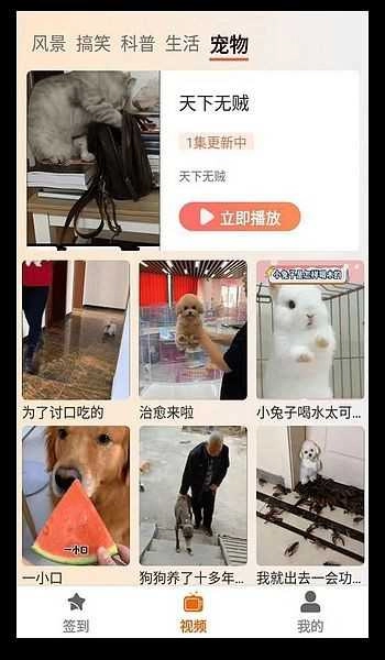 塔奇剧场影视免费原版图2