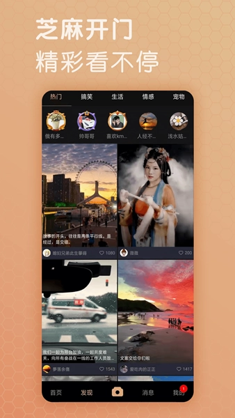 芝麻视频安卓版图3