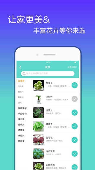 花信官方正版图3