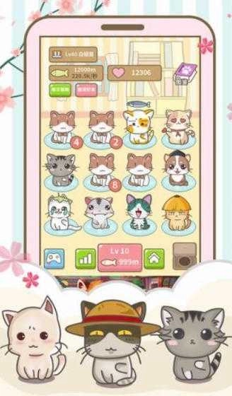 开心猫猫乐红包版图3