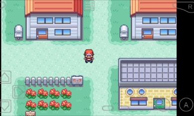 口袋妖怪火红白金版图2