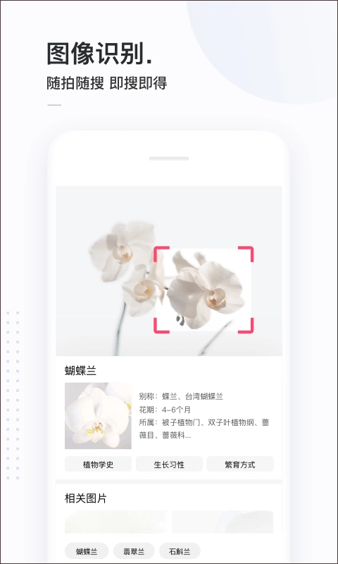 百度简单搜索免费原版图3
