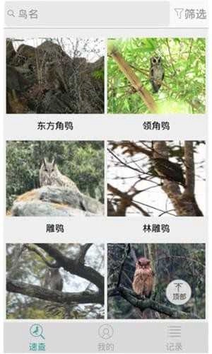 懂鸟免费版图4