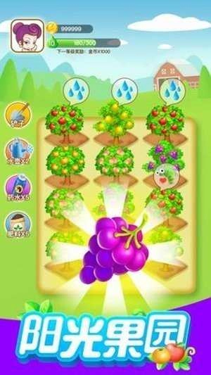 阳光果园红包版图3