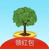 多多果林游戏纯净版