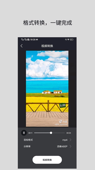 万能视频格式转换器官方正版图3