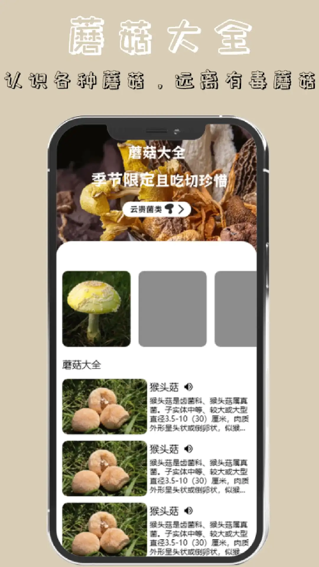 蘑菇识别扫一扫安卓官方版图4