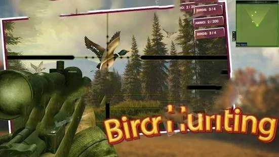 猎鸟猎人(Bird Hunting and Shooting game)游戏安装包