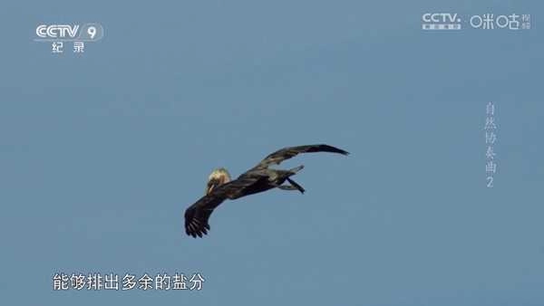 趣看仓BOX电视盒子原版图4