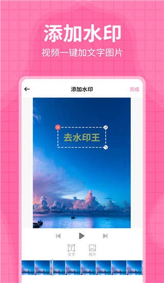 去水印王原版