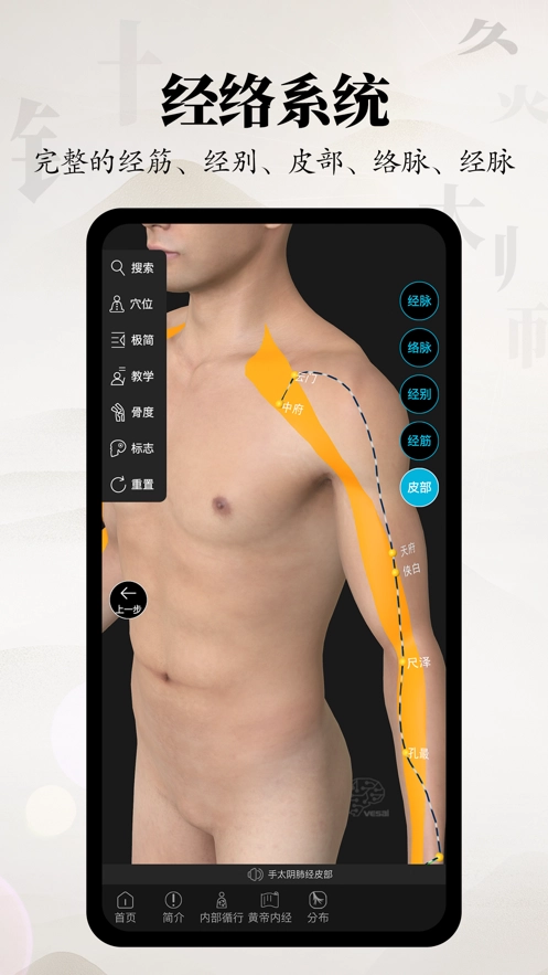 针灸大师官方版