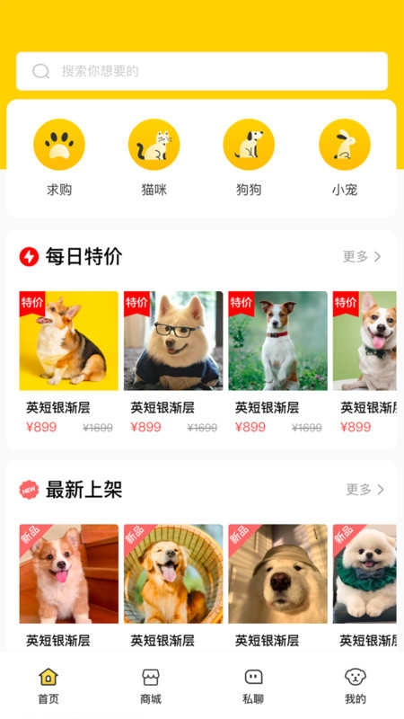 闲小宠通用版图2
