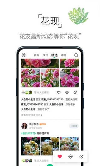 养花大全免费原版图5