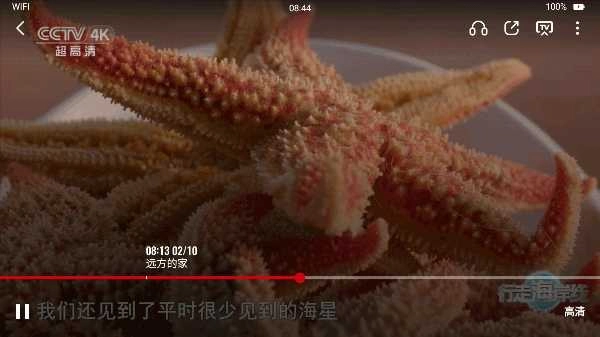央视频TV安卓免费版图3