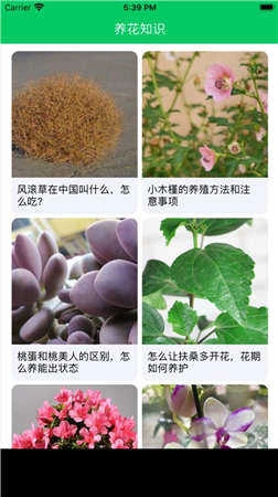 养花大亨(Plantsvs.ZombiesFREE)最新免费版图3