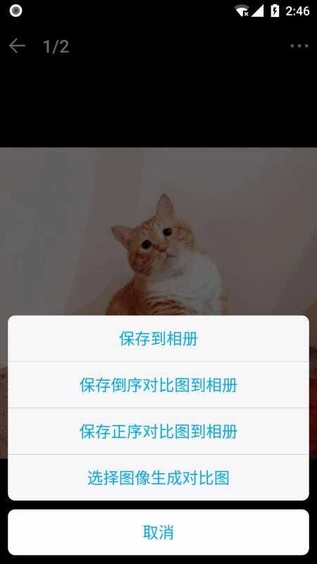 猫咪成长记原版图3