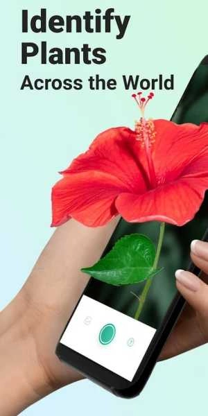 形色识植物直装版图3